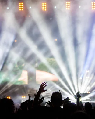 Savannah Bananas vs. Party Animals