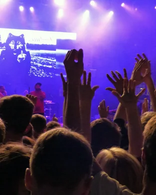 Golden! A K-Pop Kids Party