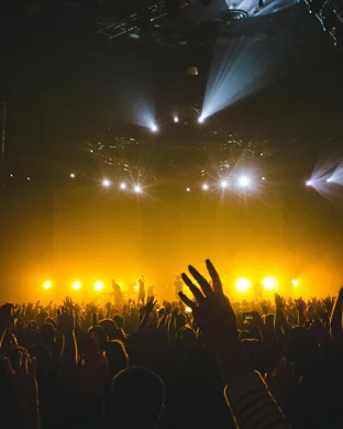 NOT.GREENDAY - Live Green Day Experience