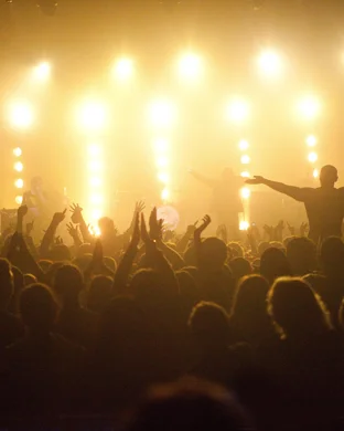 Cottage Chemistry - A Heated Rivalry Dance Party