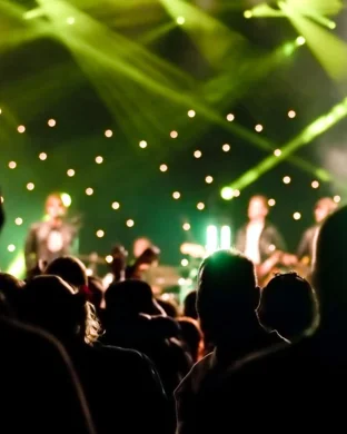 Live concert by Peaches