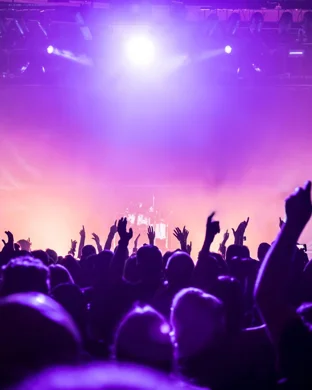 Live concert by The Third Mind