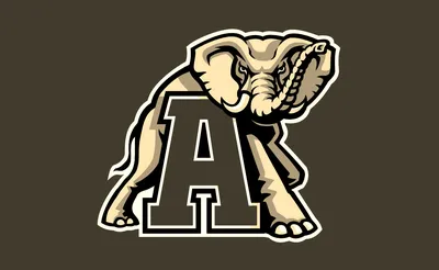 Alabama Crimson Tide