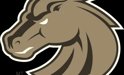 Boise State Broncos