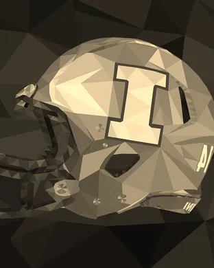 Illinois Fighting Illini vs. Oregon Ducks