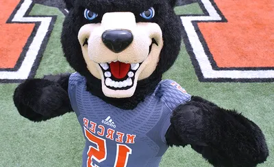 Mercer Bears