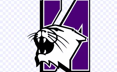 Northwestern Wildcats
