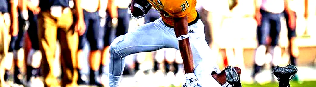 Sacramento State Hornets