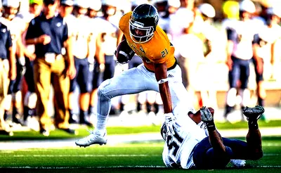 Sacramento State Hornets