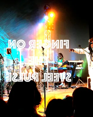 Live concert by Steel Pulse