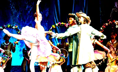 The Sleeping Beauty - Ballet