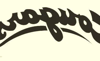 Washington State Cougars