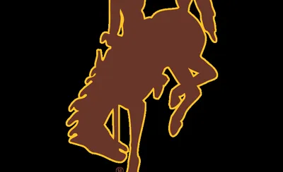 Wyoming Cowboys