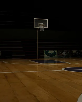 Washington Huskies Basketball