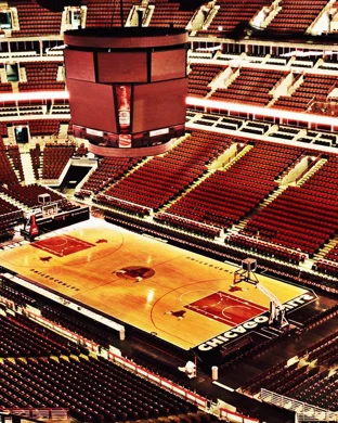 Oregon Ducks Basketball