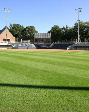 Oregon Ducks Softball