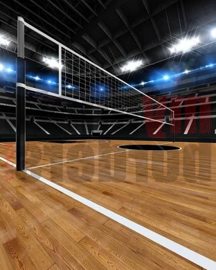 Minnesota Golden Gophers Women's Volleyball vs. Oregon Ducks sports event
